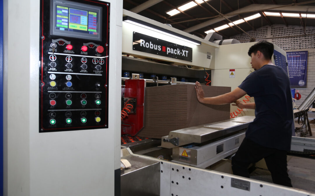 ¿Cómo elegir la caja de cartón corrugado ideal para productos industriales?